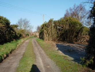 Photo 13