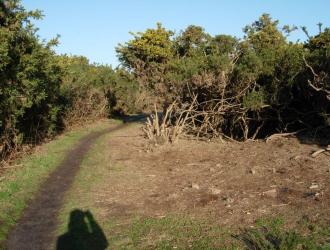 Photo 24