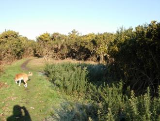 Photo 25