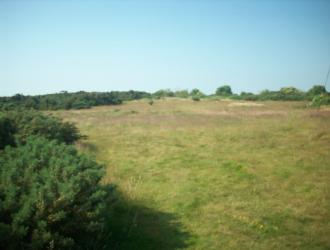 Knodishall2 010