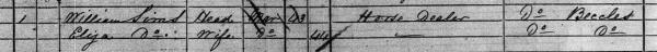 1881 census William Sims